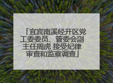 宜宾南溪经开区党工委委员、管委会副主任周虎 接受纪律审查和监察调查