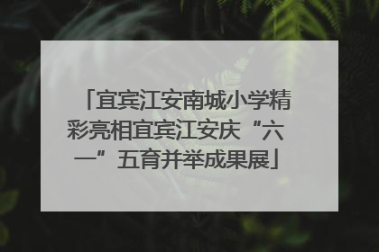 宜宾江安南城小学精彩亮相宜宾江安庆“六一”五育并举成果展