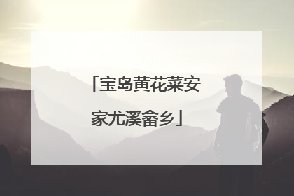 宝岛黄花菜安家尤溪畲乡