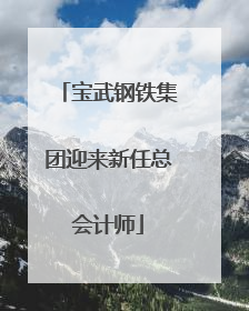 宝武钢铁集团迎来新任总会计师