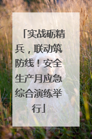 实战砺精兵，联动筑防线！安全生产月应急综合演练举行