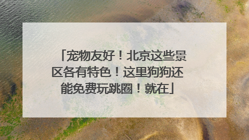 宠物友好！北京这些景区各有特色！这里狗狗还能免费玩跳圈！就在