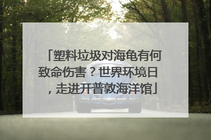 塑料垃圾对海龟有何致命伤害？世界环境日，走进开普敦海洋馆