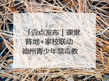 壹点发布｜课堂阵地+家校联动 德州青少年禁毒教育全覆盖