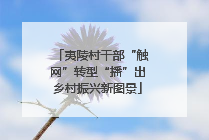 夷陵村干部“触网”转型“播”出乡村振兴新图景