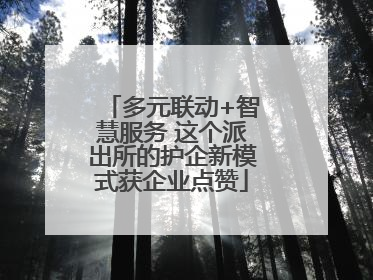 多元联动+智慧服务 这个派出所的护企新模式获企业点赞