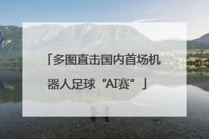 多图直击国内首场机器人足球“AI赛”
