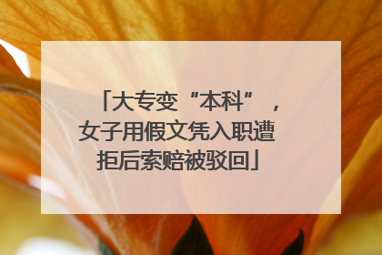 大专变“本科”，女子用假文凭入职遭拒后索赔被驳回