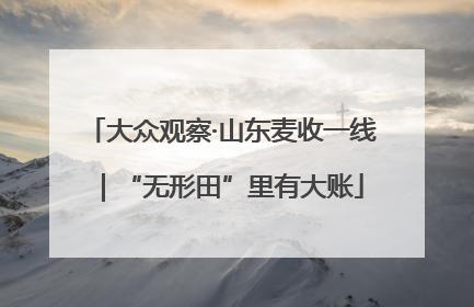 大众观察·山东麦收一线｜“无形田”里有大账