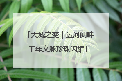 大城之变｜运河侧畔 千年文脉珍珠闪耀
