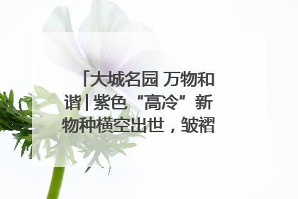 大城名园 万物和谐│紫色“高冷”新物种横空出世，皱褶叶片暗藏进化密码