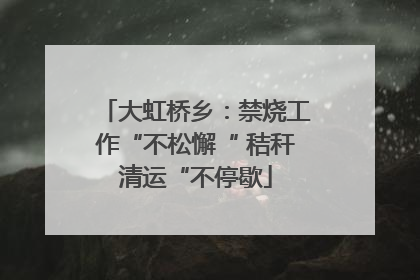 大虹桥乡：禁烧工作“不松懈“ 秸秆清运“不停歇