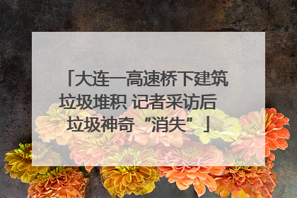 大连一高速桥下建筑垃圾堆积 记者采访后垃圾神奇“消失”