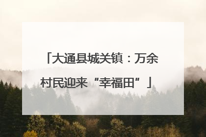 大通县城关镇：万余村民迎来“幸福田”