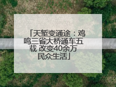 天堑变通途:鸡鸣三省大桥通车五载 改变40余万民众生活