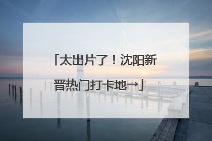 太出片了！沈阳新晋热门打卡地→