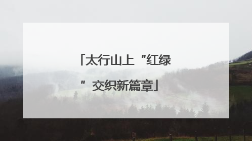 太行山上“红绿”交织新篇章