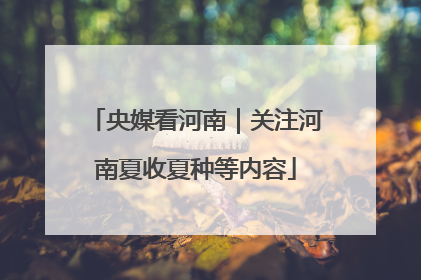 央媒看河南｜关注河南夏收夏种等内容