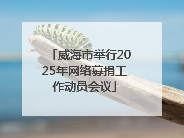 威海市举行2025年网络募捐工作动员会议
