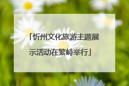 忻州文化旅游主题展示活动在繁峙举行