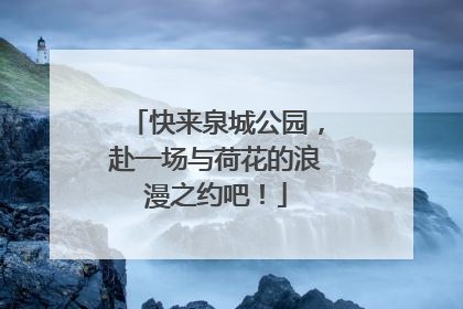 快来泉城公园，赴一场与荷花的浪漫之约吧！