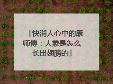 快消人心中的康师傅：大象是怎么长出翅膀的