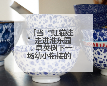 当“虹猫娃”走进淮东园，皂荚树下一场幼小衔接的探索开始啦