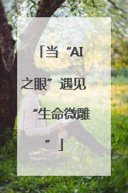 当“AI之眼”遇见“生命微雕”