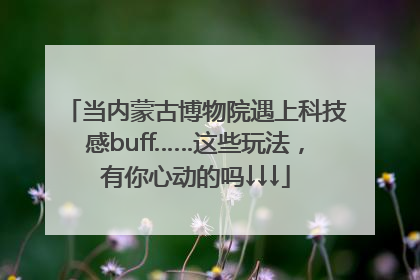 当内蒙古博物院遇上科技感buff……这些玩法，有你心动的吗↓↓↓