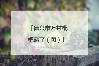 德兴市万村枇杷熟了（图）