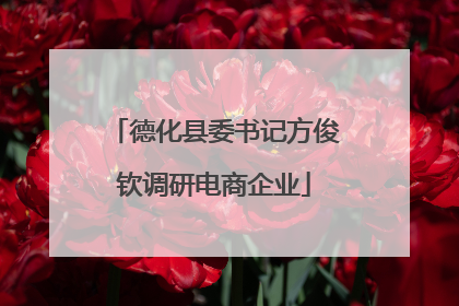 德化县委书记方俊钦调研电商企业