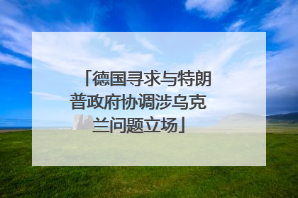 德国寻求与特朗普政府协调涉乌克兰问题立场