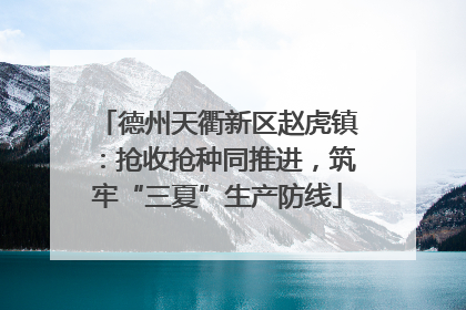 德州天衢新区赵虎镇：抢收抢种同推进，筑牢“三夏”生产防线