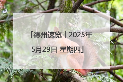 德州速览丨2025年5月29日 星期四