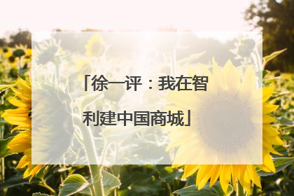 徐一评：我在智利建中国商城