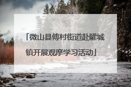 微山县傅村街道赴驩城镇开展观摩学习活动