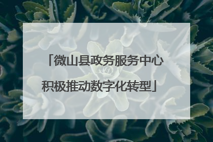 微山县政务服务中心积极推动数字化转型