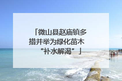 微山县赵庙镇多措并举为绿化苗木“补水解渴”