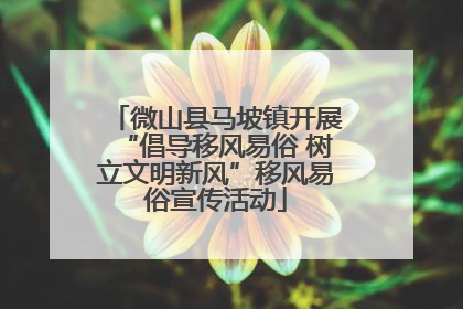 微山县马坡镇开展“倡导移风易俗 树立文明新风”移风易俗宣传活动