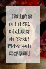 微山降暴雨！山东10市出现降雨 多地仍有小到中雨局部暴雨