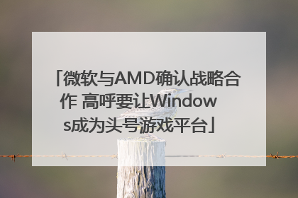 微软与AMD确认战略合作 高呼要让Windows成为头号游戏平台