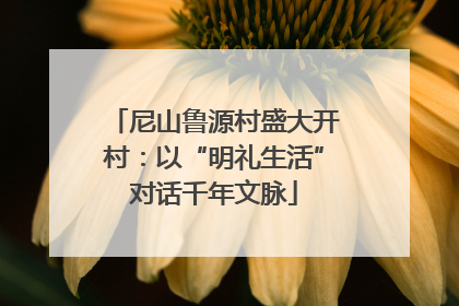 尼山鲁源村盛大开村：以“明礼生活”对话千年文脉