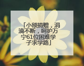 小额捐赠，涓滴不断，呵护万宁61位困难学子求学路