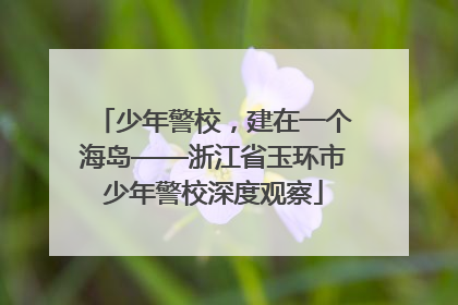 少年警校，建在一个海岛——浙江省玉环市少年警校深度观察