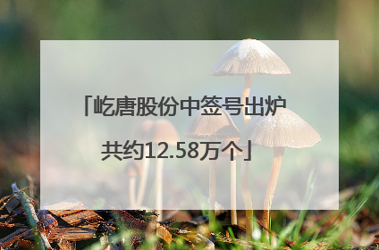 屹唐股份中签号出炉 共约12.58万个