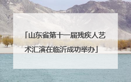 山东省第十一届残疾人艺术汇演在临沂成功举办