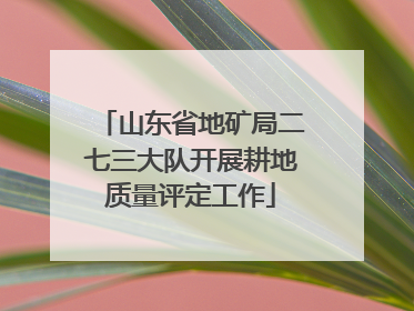 山东省地矿局二七三大队开展耕地质量评定工作