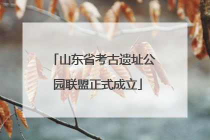山东省考古遗址公园联盟正式成立