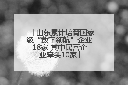 山东累计培育国家级“数字领航”企业18家 其中民营企业牵头10家