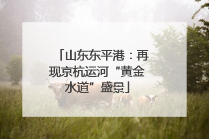 山东东平港：再现京杭运河“黄金水道”盛景